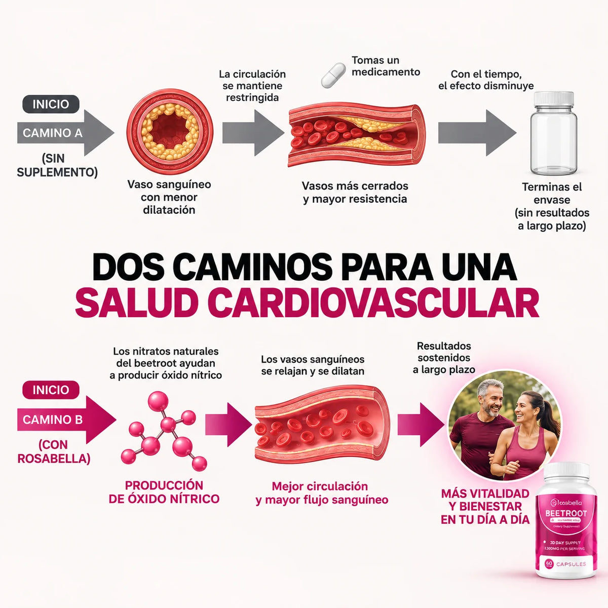 Rosabella® Beetroot - Circulación y Vitalidad