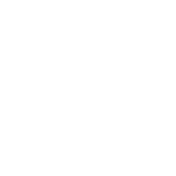 Sistema Cardiovascular